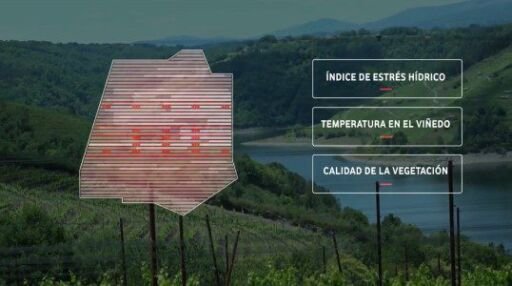 Tecnología de altos vuelos permite cuidar viñedos en España