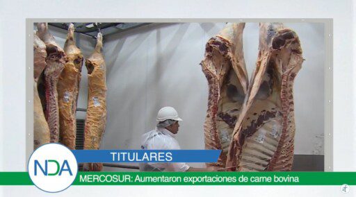 Noticias Del Agro Emisión 06 de Febrero 2020