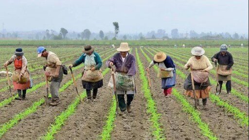 MUJER RURAL