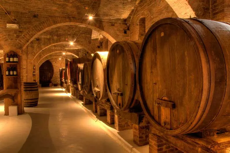 almacén con barriles de madera con vino de uva