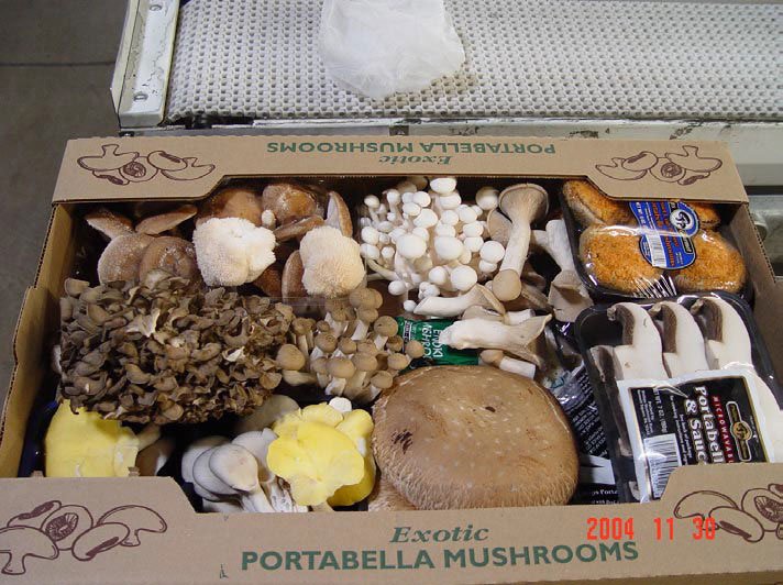 Varios hongos de diferentes formas en una caja