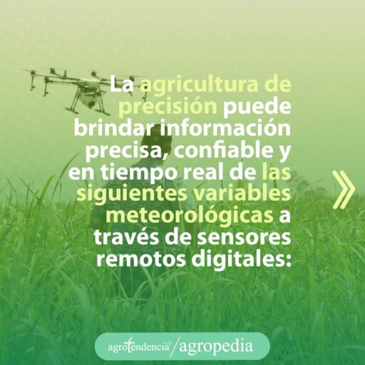 hombre manejando dron sobre cultivo en agricultura de precisión