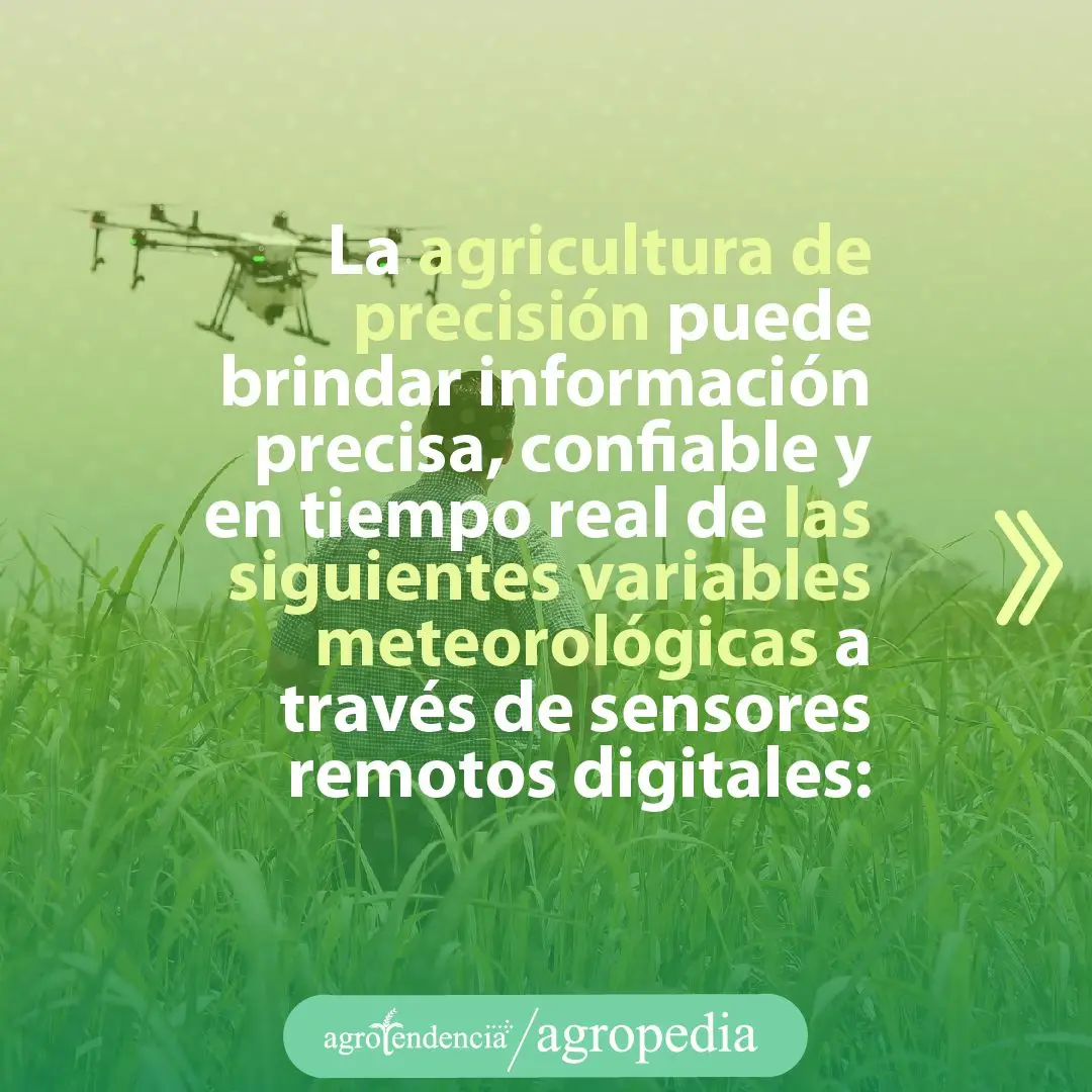 hombre manejando dron sobre cultivo en agricultura de precisión