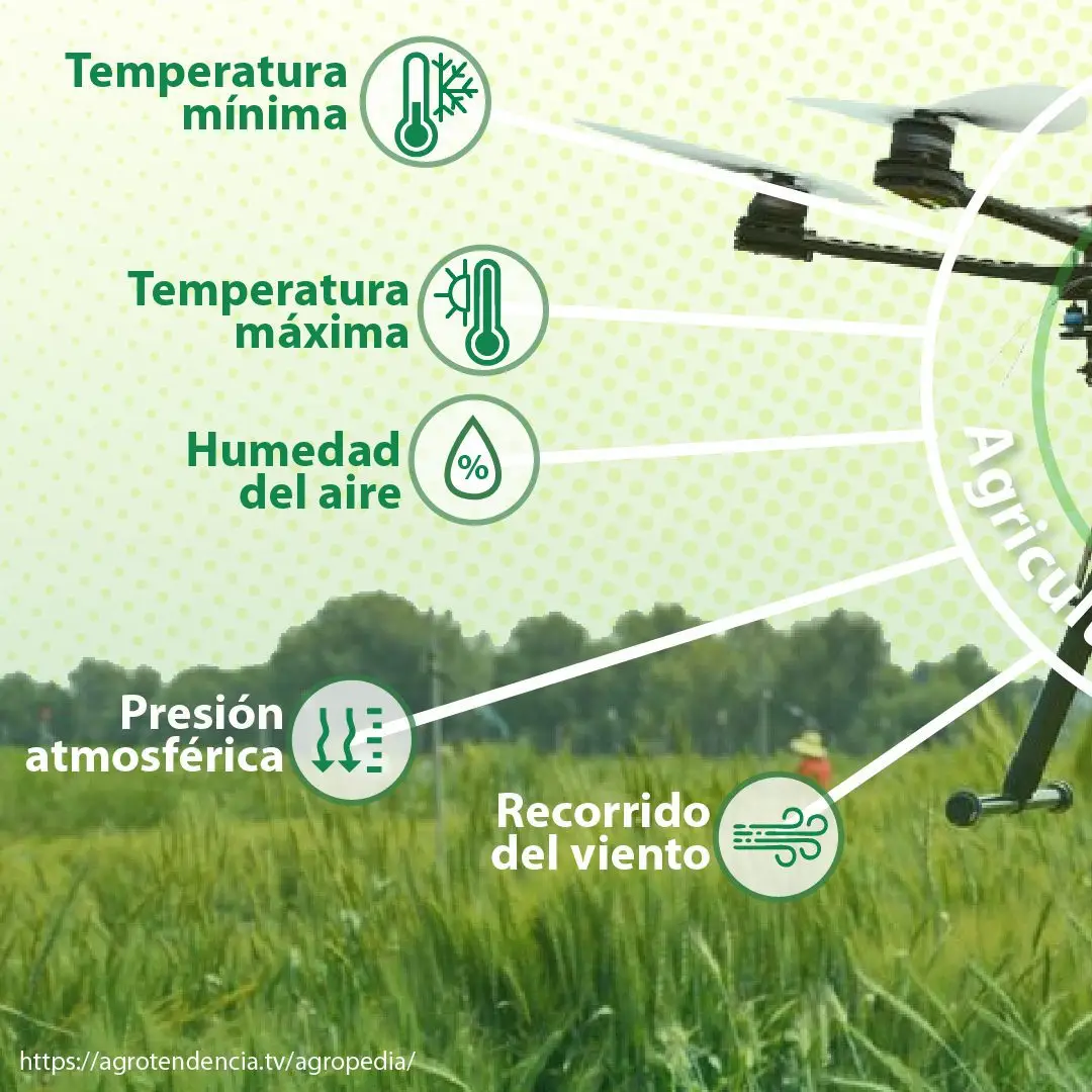 dron tomando medidas en la agricultura de precisión