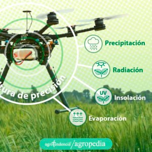 agricultura de precisión - ventajas y desventajas de la agricultura de precisión