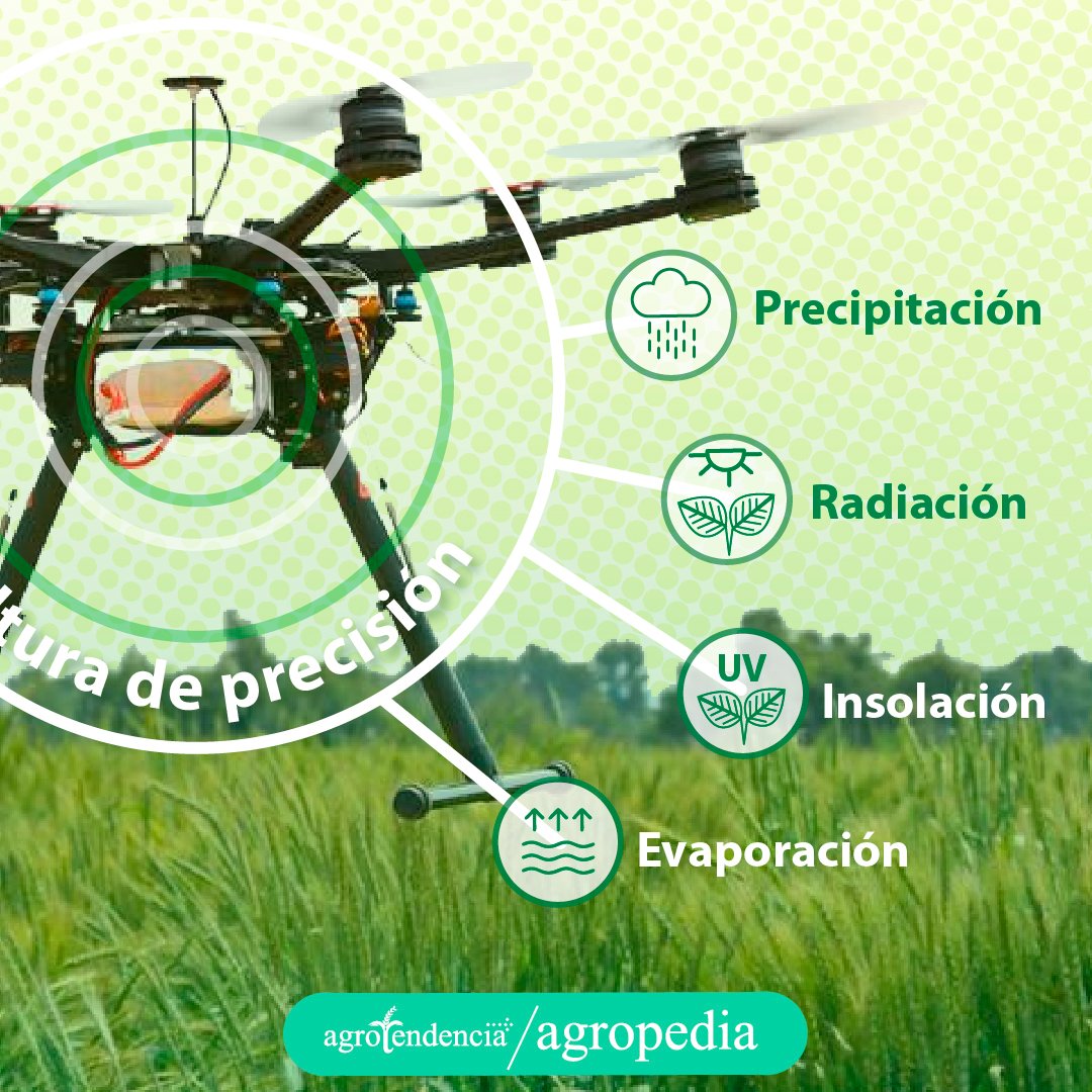 dron sobrevolando cultivo en agricultura de precisión