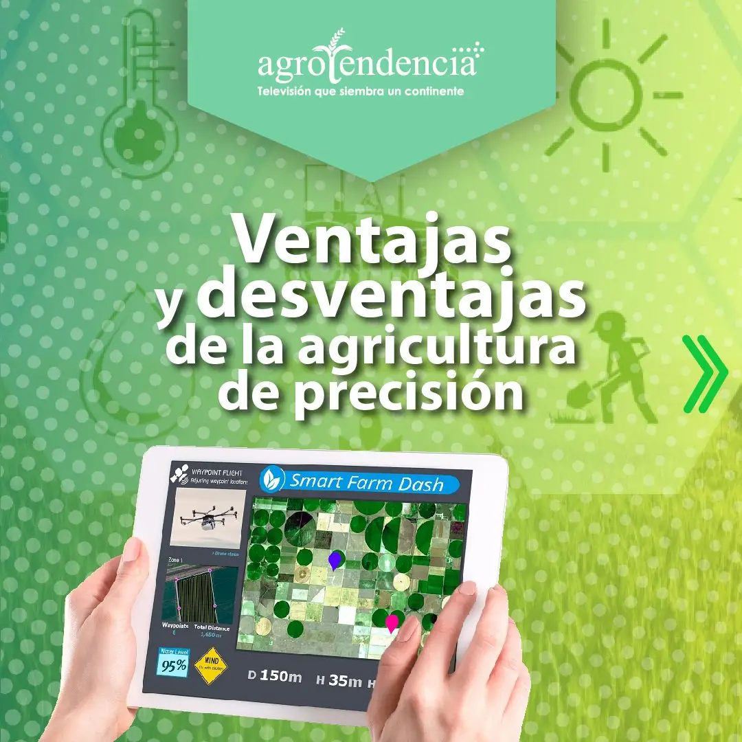 manos teniendo table con información de agricultura de precisión