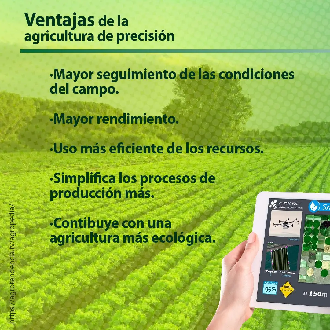 cultivo y manos tomando table en agricultura de precisión