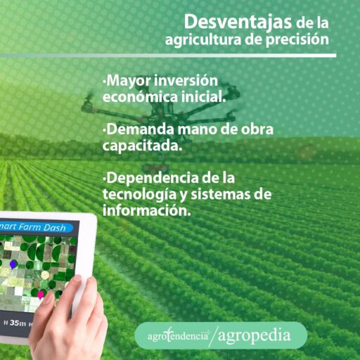 manos dirigiendo dron desde table sobre cultivo en agricultura de precisión