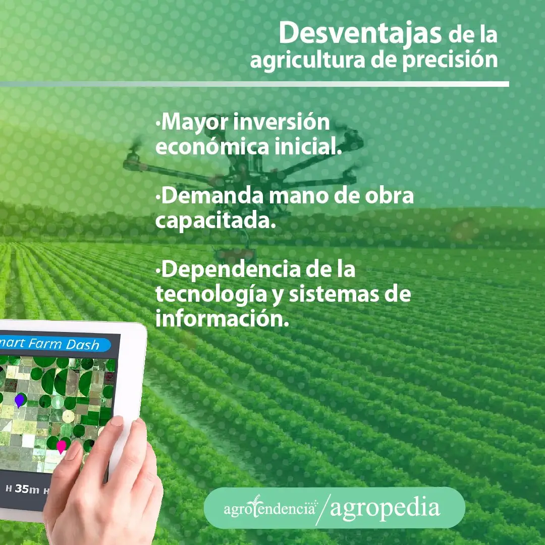 manos dirigiendo dron desde table sobre cultivo en agricultura de precisión