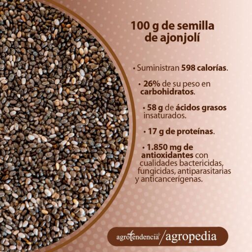 semillas de ajonjolí
