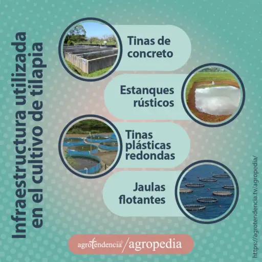 fotos de diferentes estructuras para la cría de tilapia