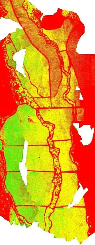 Imagen de indice espectral usado en la agricultura de precisión