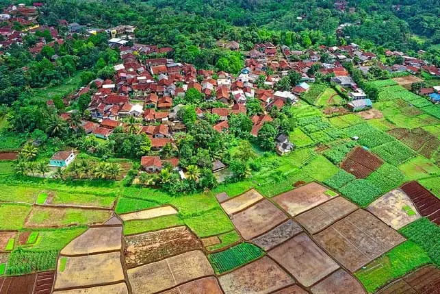 vista desde arriba de campos cultivados con uso de agricultura de precisión