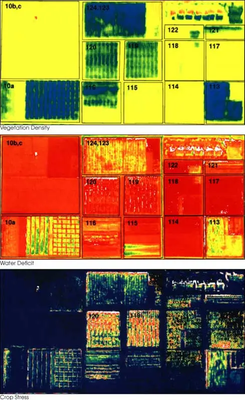 indice-vegetación-mejorado imagen de vegetación mejorado usado en la agricultura de precisión