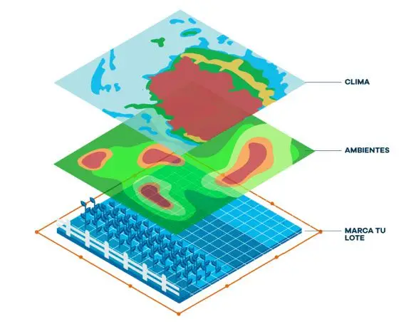 cartografía-agricultura-de-precisión Ejemplo de cartografía usada en la agricultura de precisión