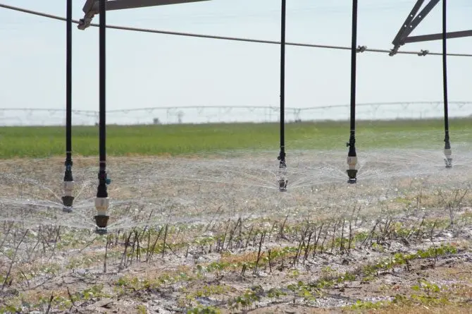 cultivo regándose bajo enfoque de agricultura de precisión