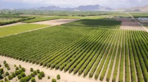 agricultura de precisión - mapas agricultura de precisión