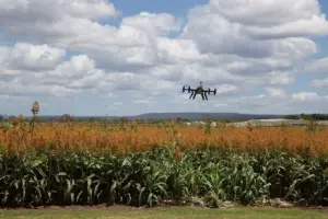 agricultura de precisión - drones agricultura de precisión