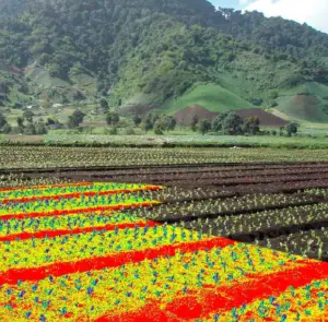 agricultura de precisión - mapas agricultura de precisión