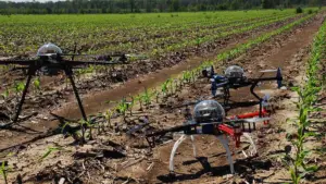 agricultura de precisión - drones agricultura de precisión
