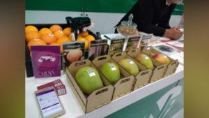 Crean sensor capaz de rastrear grado de madurez de las frutas