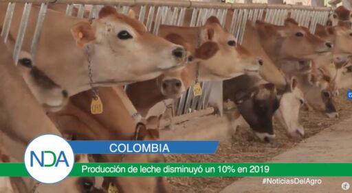 Noticias Del Agro  Emisión 02 de marzo 2020
