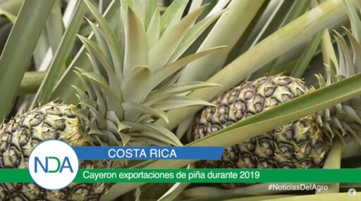 Noticias Del Agro Emisión 04 de marzo 2020