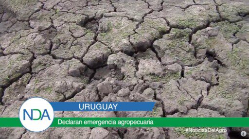 Noticias Del Agro Emisión 10 de marzo 2020