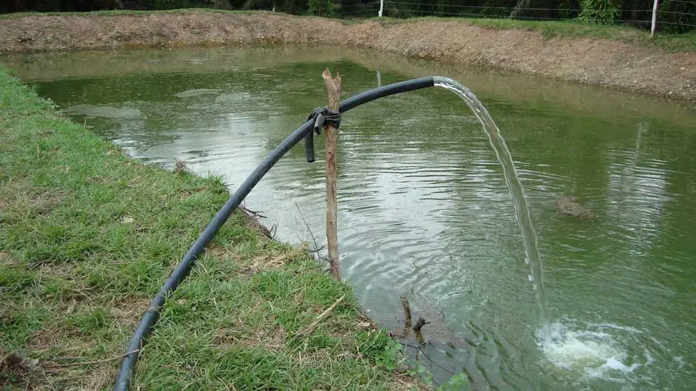 Una manguera echando agua dentro de un estanque de tierra