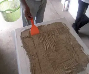 cultivo de tilapia - manejo de cultivo de tilapia