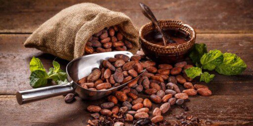 CONGRESO DE CACAO