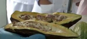 Elaboran pectina usando cascarilla de cacao