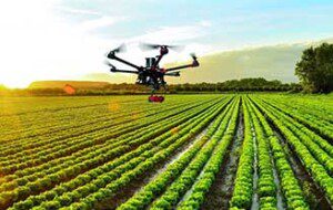 Agricultura de precisión: qué es, ventajas y desventajas