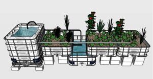 acuaponia - sustrato para acuaponia