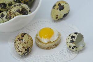 codorniz - codorniz huevos
