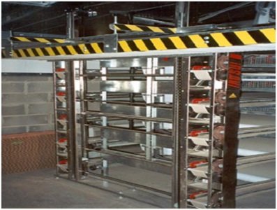 jaula automática para la producción de codornices