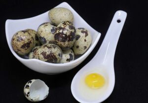 codorniz - codorniz huevos