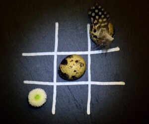 codorniz - codorniz huevos