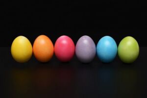 codorniz - codorniz huevos