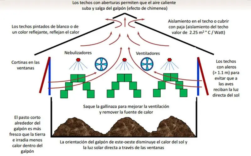 galpón de cunicultura