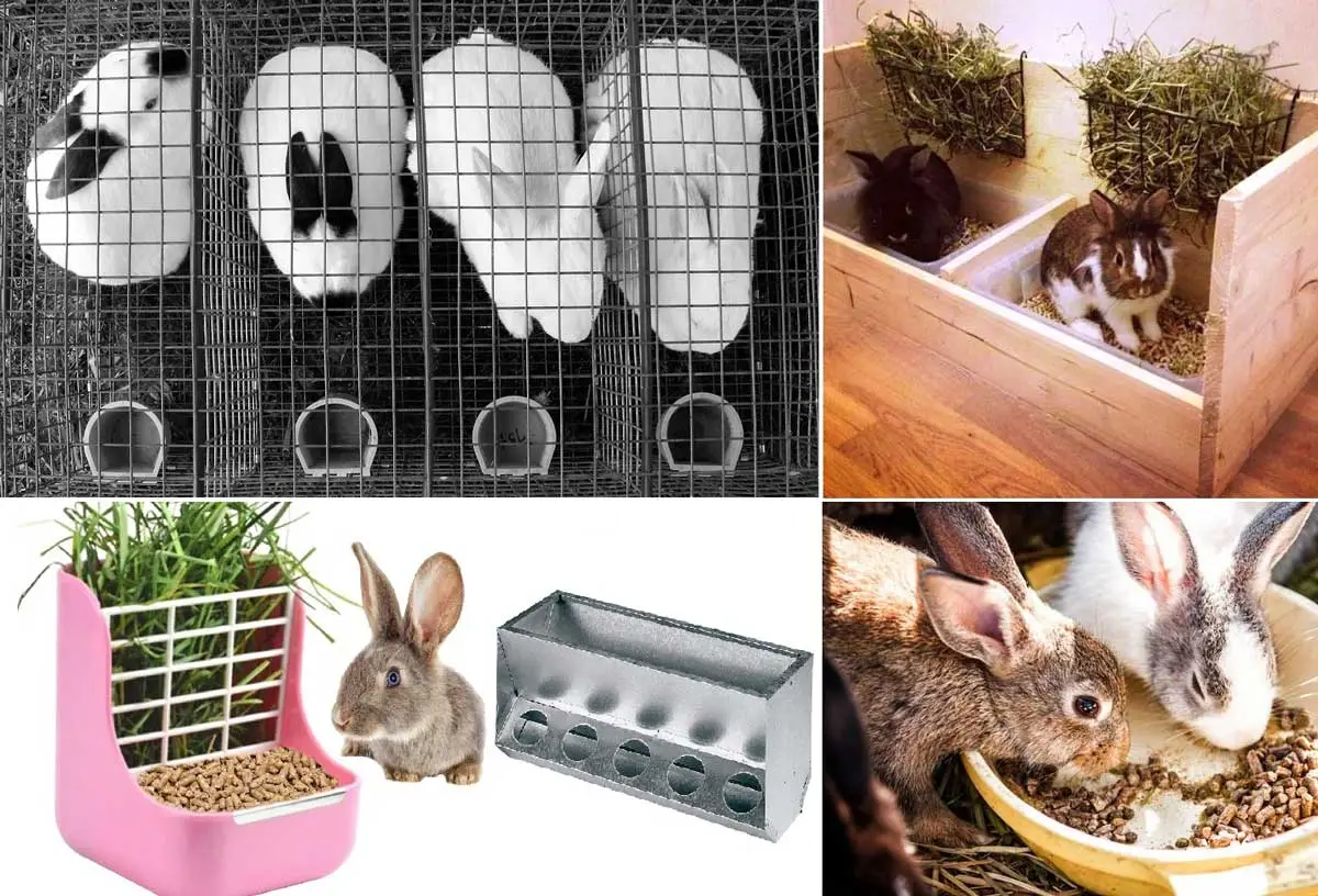 Comederos de conejos.
