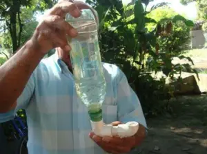 conejo - cría de conejo