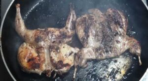 codorniz - carne de codorniz