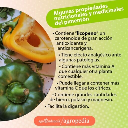 un pimentón verde y otro color amarillo cortado por la mitad