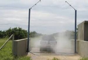 ganado doble propósito - caracteristicas ganado doble propósito