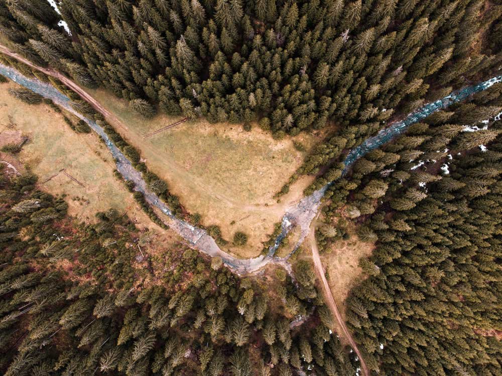 Vista aérea de pino.