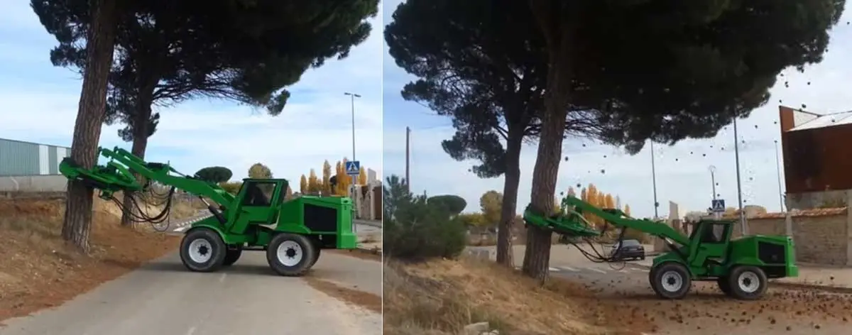 Vibrador de pinos piñoneros