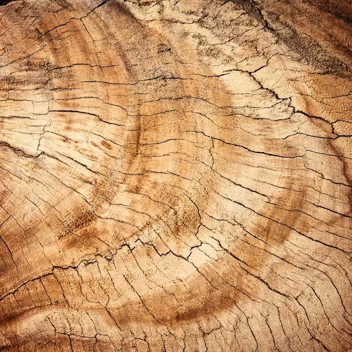 madera de pino