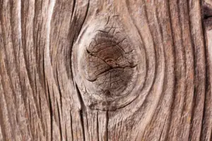 pino - madera de pino